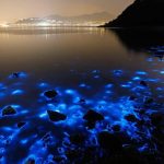 Luminous Lagoon