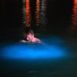 Luminous Lagoon